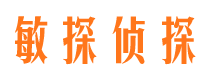 陆川捉小三公司